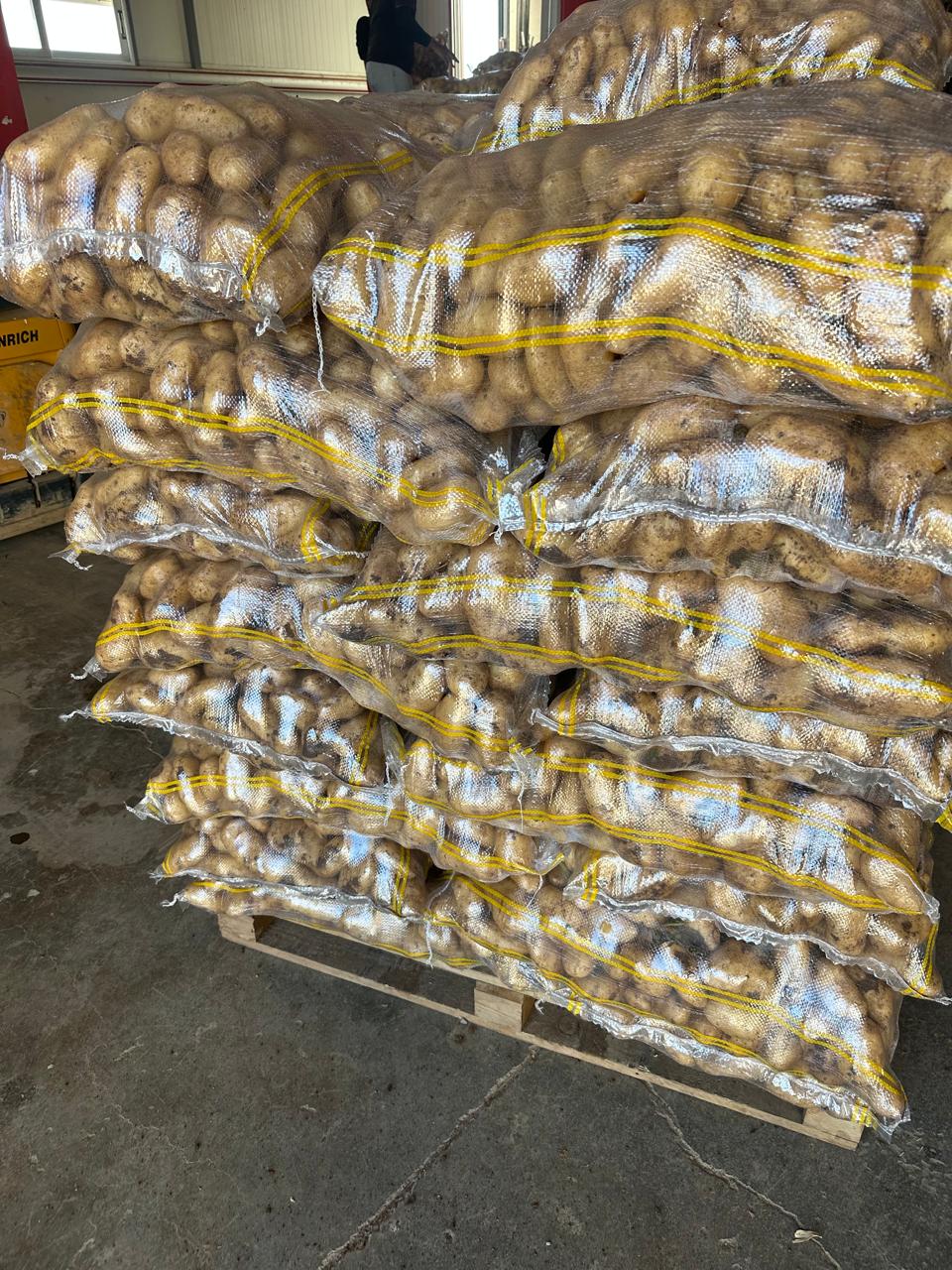 diafano saki patatas