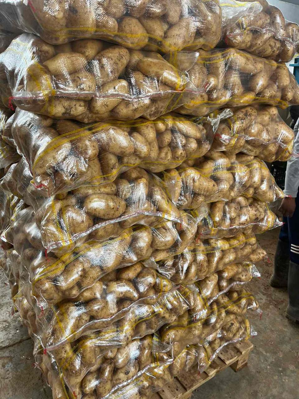 διαφανο-πατατοσακο