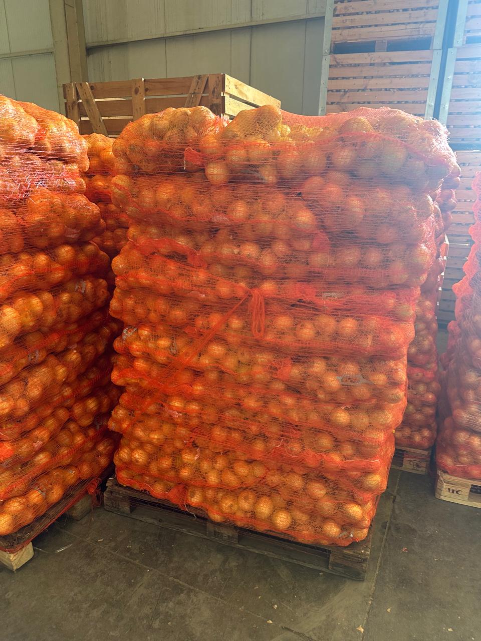 πορτοκαλι παλετα